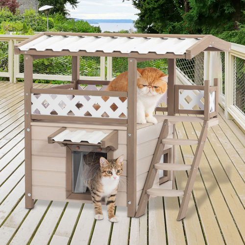 Elevated Cat Beds You'll Love Wayfair — free download